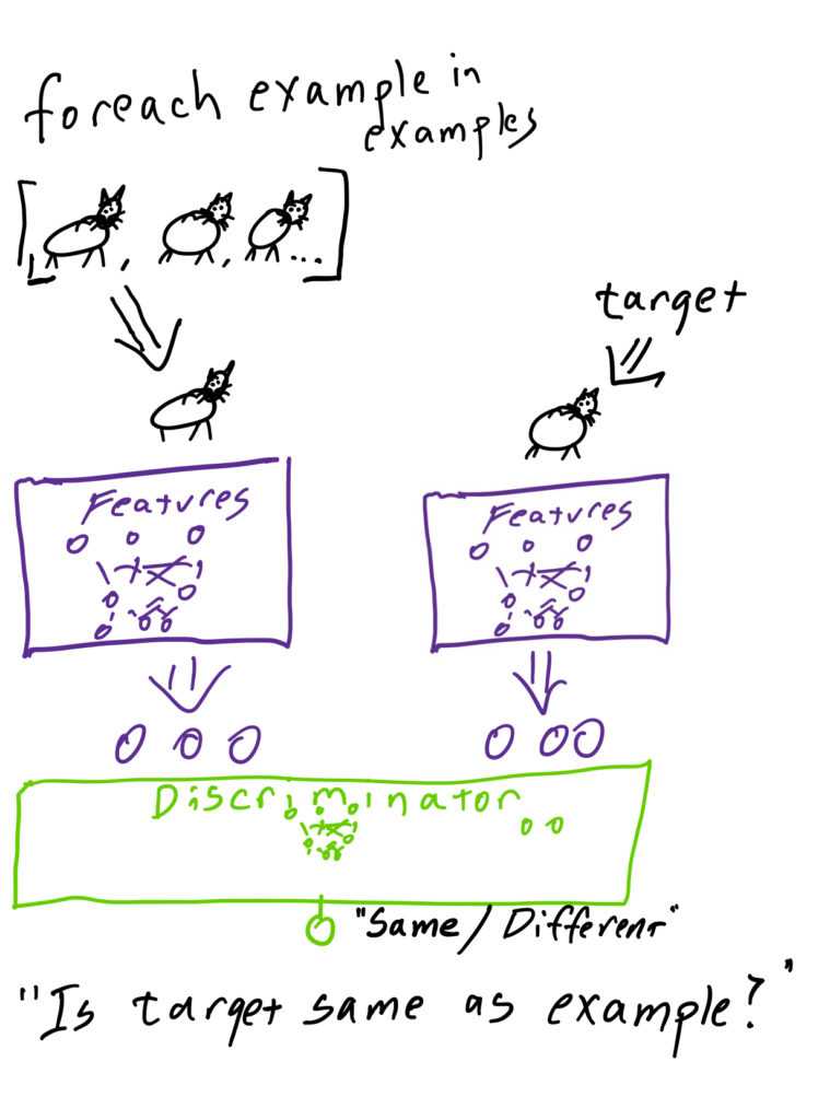 Schematic of twin network